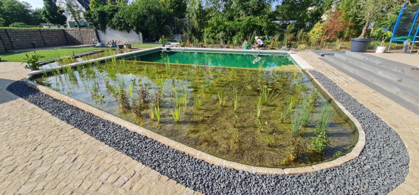 Ein klarer Biopool mit bepflanzten Ufern und grauen Kieselsteinen.